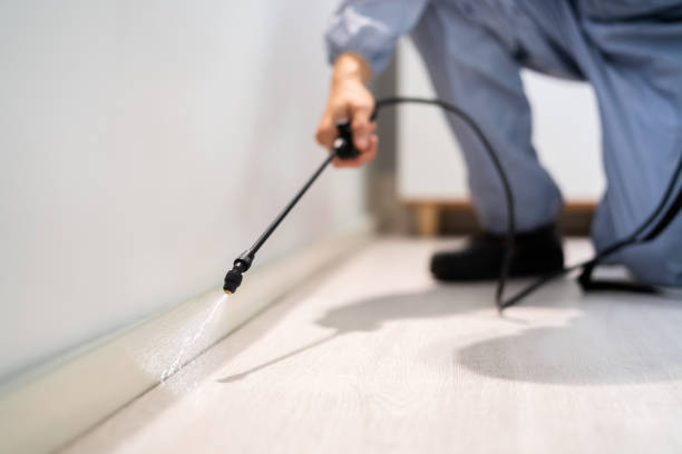 Licensed Termite Control service in Monticello, MS - Nex Pest Control
