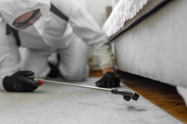 Professional Termite Control technician working in Monticello, MS
