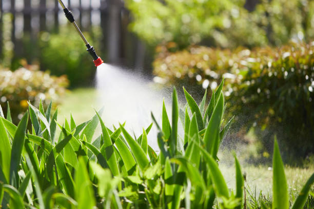 24/7 Emergency Termite Control experts in Monticello, MS