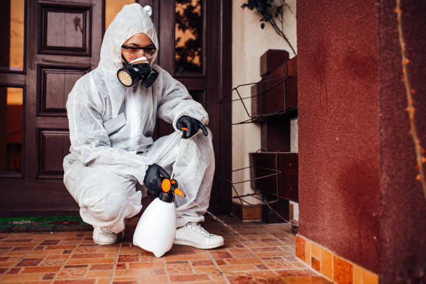 Reliable Termite Control contractor in Monticello, MS by Nex Pest Control
