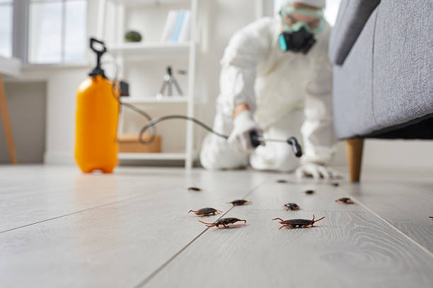 Affordable Termite Control solutions in Monticello, MS