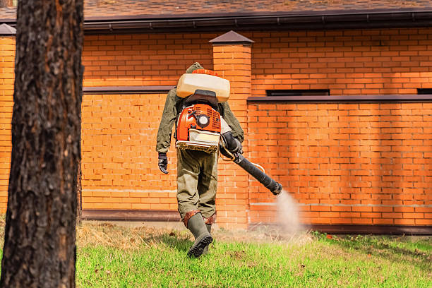 Top rated local Termite Control specialists in Monticello, MS